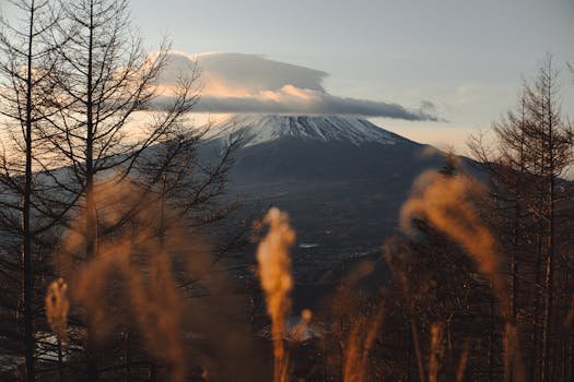 Captivating view of snow-capped Mount Fuji framed by autumn trees at sunset.